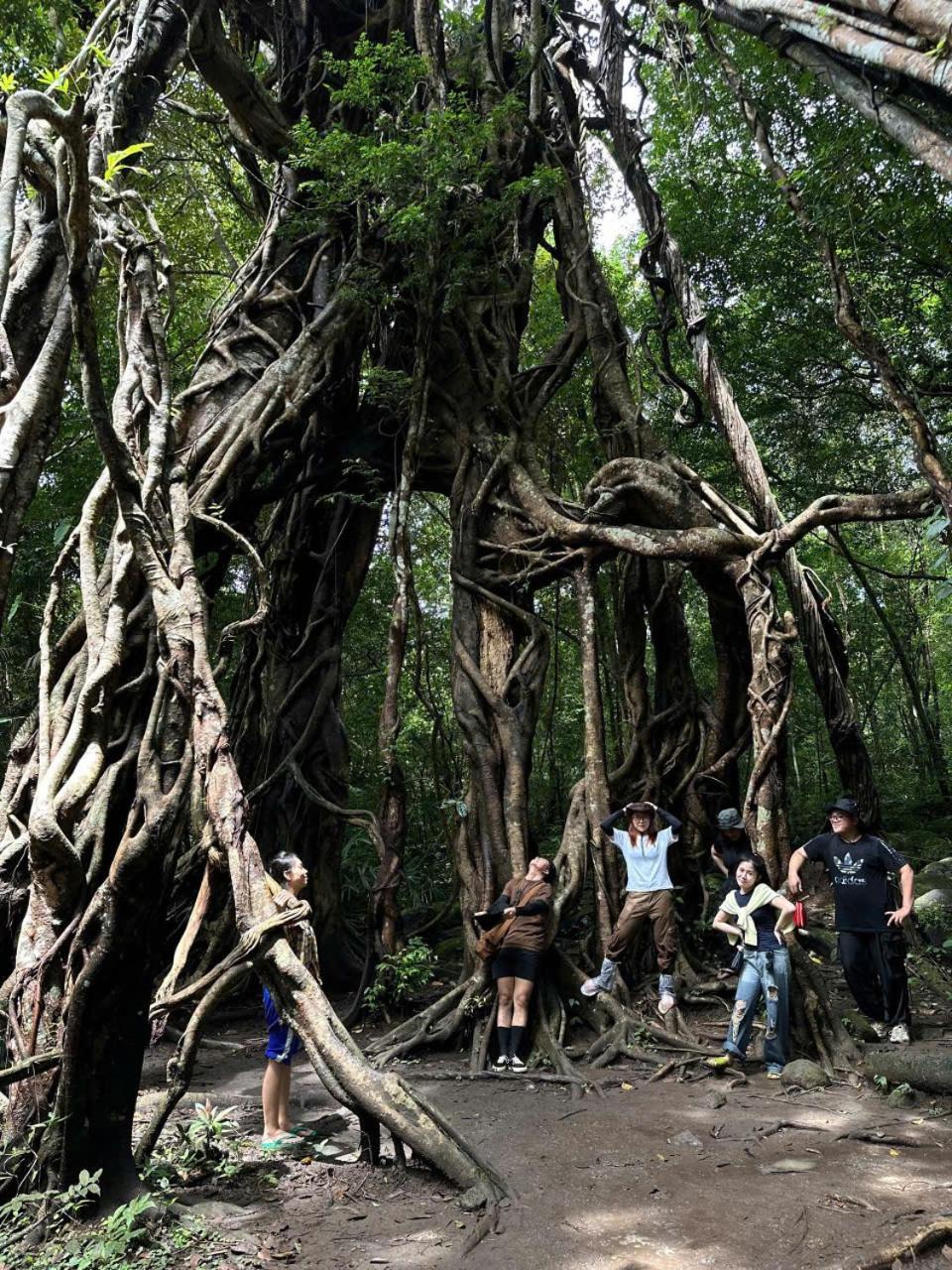 Forest Breath Eco-Lodge كات تيان المظهر الخارجي الصورة