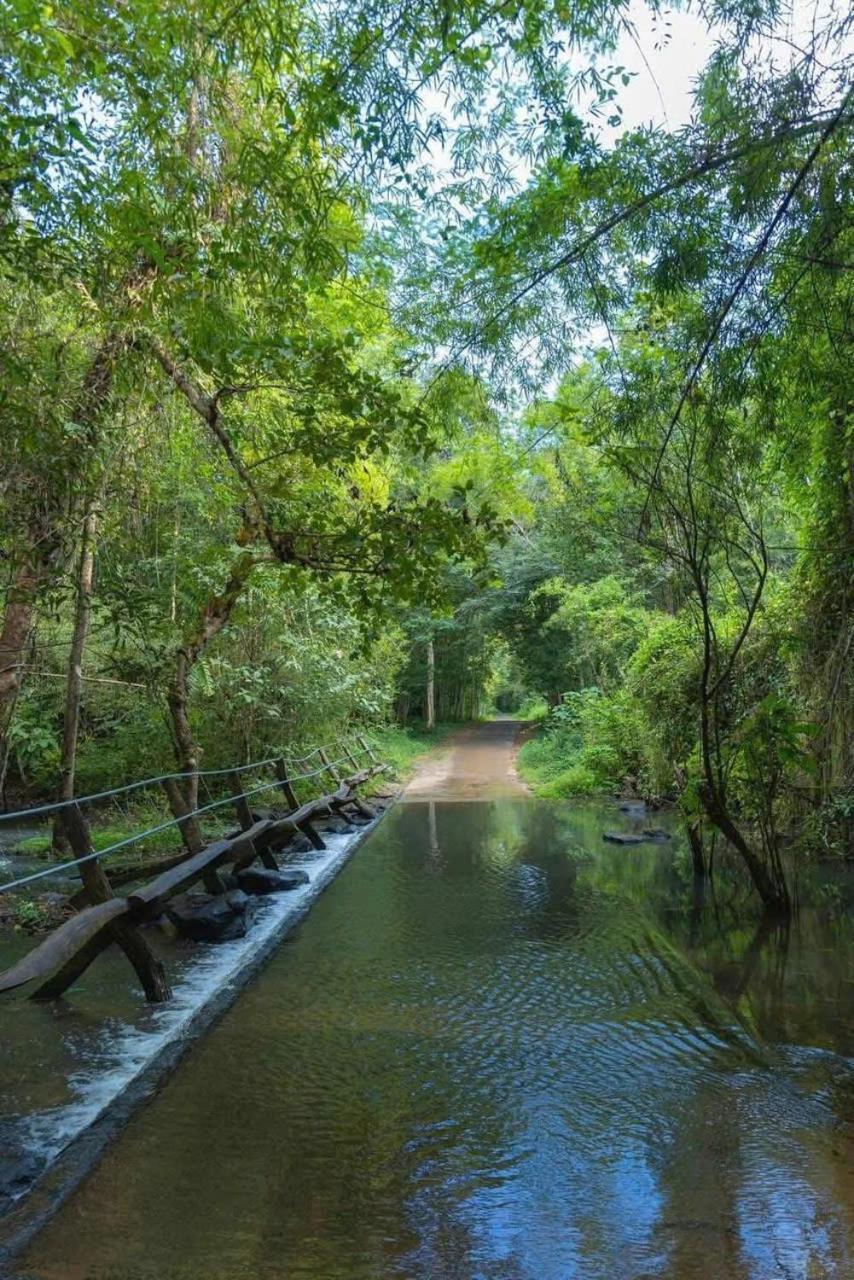 Forest Breath Eco-Lodge كات تيان المظهر الخارجي الصورة